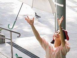 公園的綠色椅子