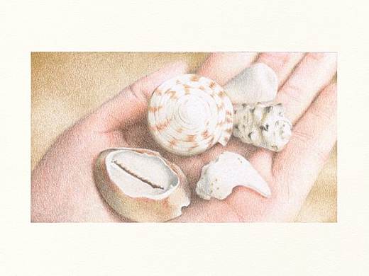 一把破貝殼（個(gè)人主頁(yè)-ZMzY1NDc1MjQ=） - 繪畫 - 站酷設(shè)計(jì)師卑鄙的噗噗原創(chuàng)素材 - 站酷ZCOOL