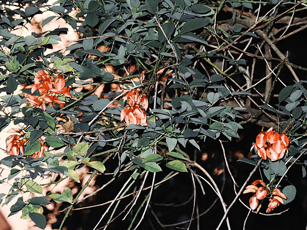 今日 秋分（图ZMzE2OTI5NTk2） - 风光摄影 - 站酷设计师马铃薯烤洋芋原创素材 - 站酷ZCOOL