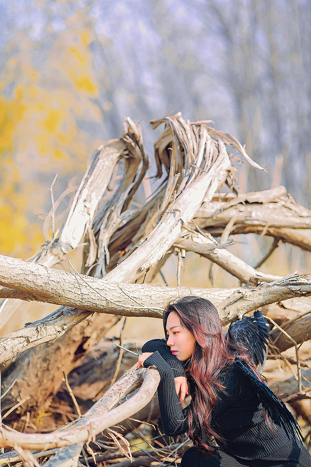 你去时、那时留