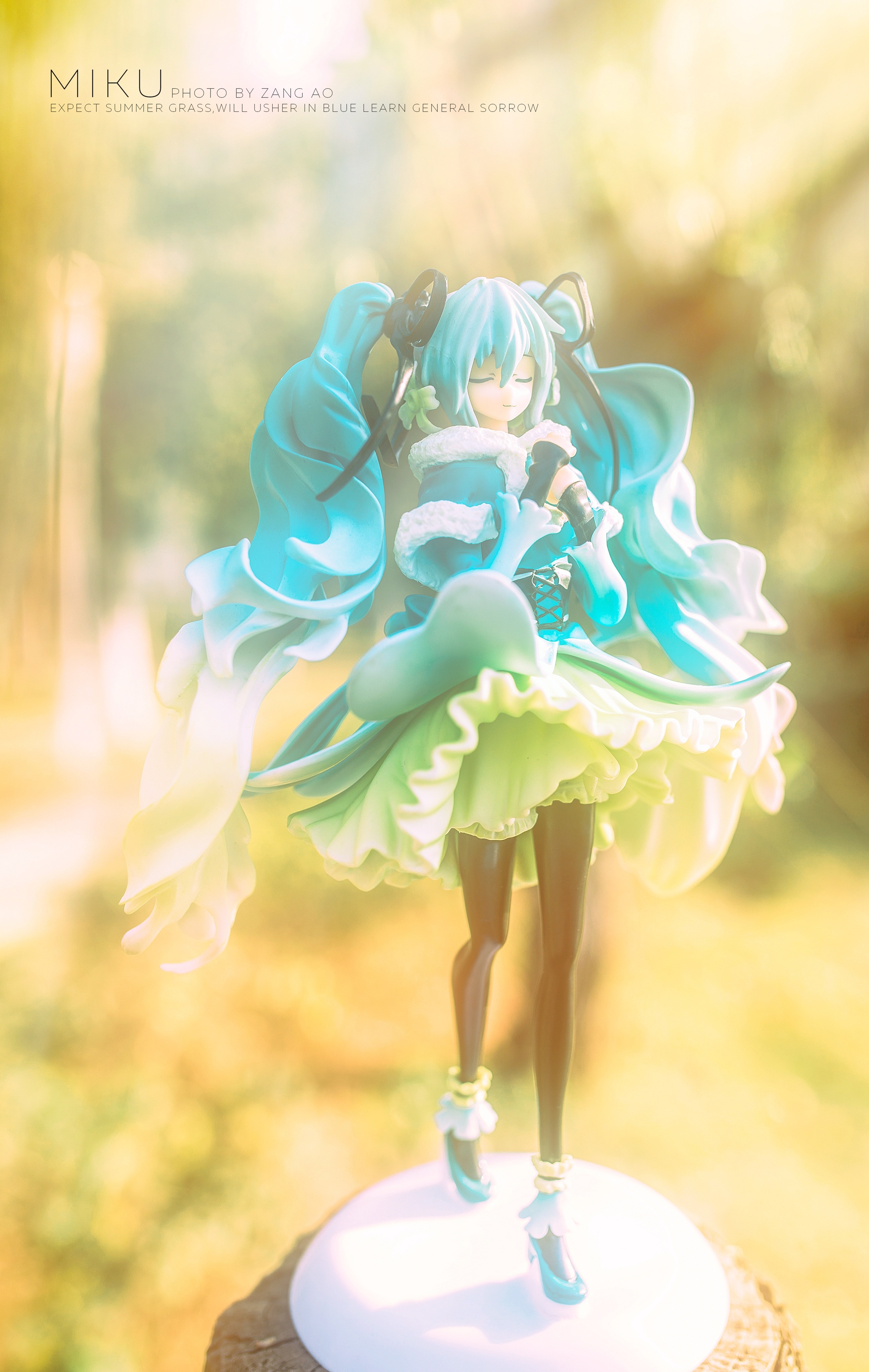 初音夏雪草