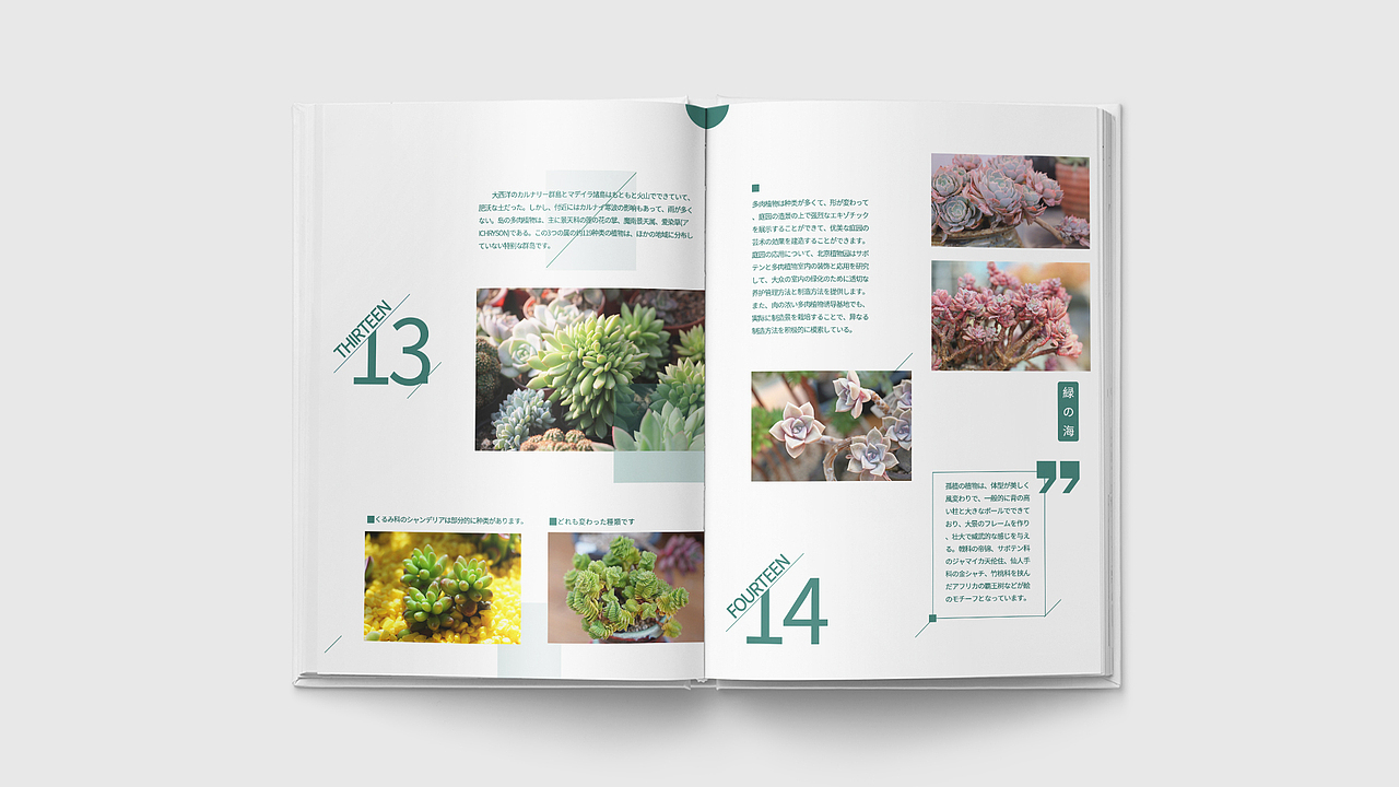 画册（图ZMTcyNzQ2MTQ0） - 书籍/画册 - 站酷设计师CAONEZERO原创素材 - 站酷ZCOOL