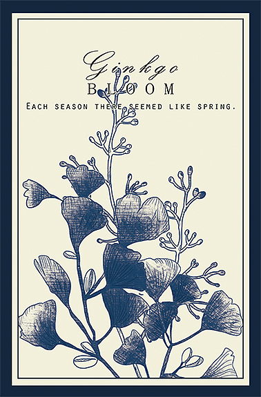 单色复古高级感插画 30张 植物花卉明信片