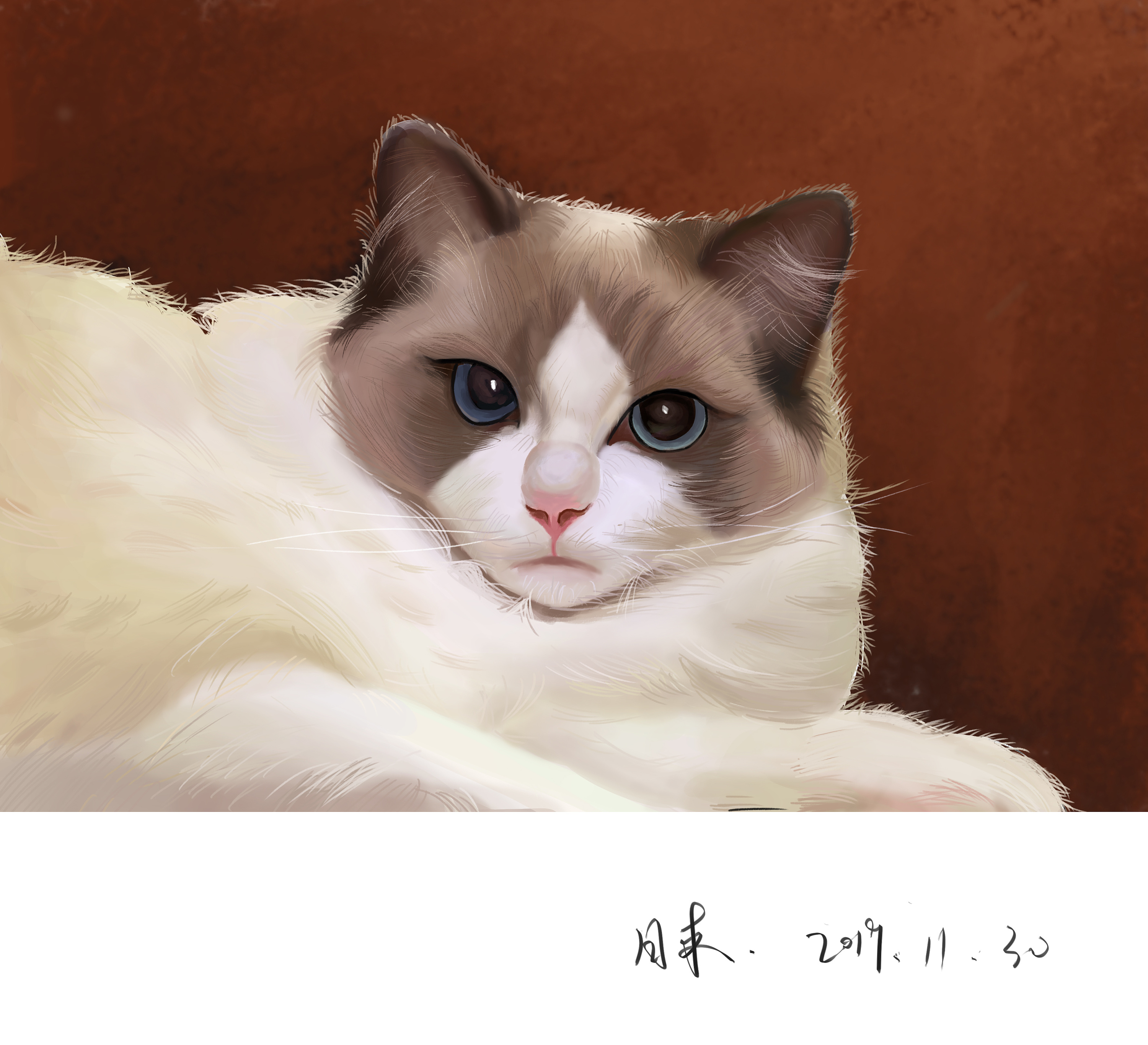 写实小猫|插画|艺术插画|z59717393 - 原创作品 - 站酷 (zcool)