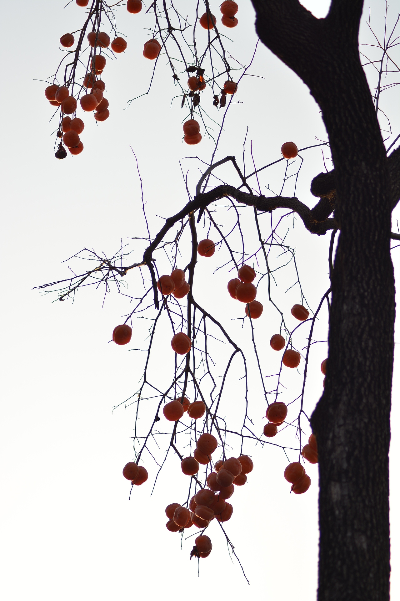 好美！震撼到我的不只是色彩～（图ZNjQ2MTk2ODQ=） - 环境/建筑摄影 - 站酷设计师我的瞬间艺术原创素材 - 站酷ZCOOL