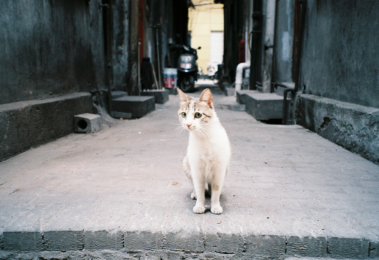 吴熙玮和他的胶片