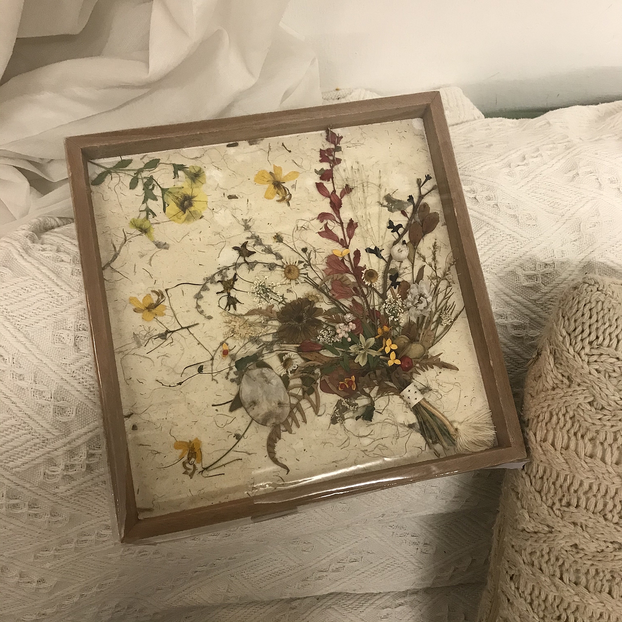 植物形态的创作研究🌳