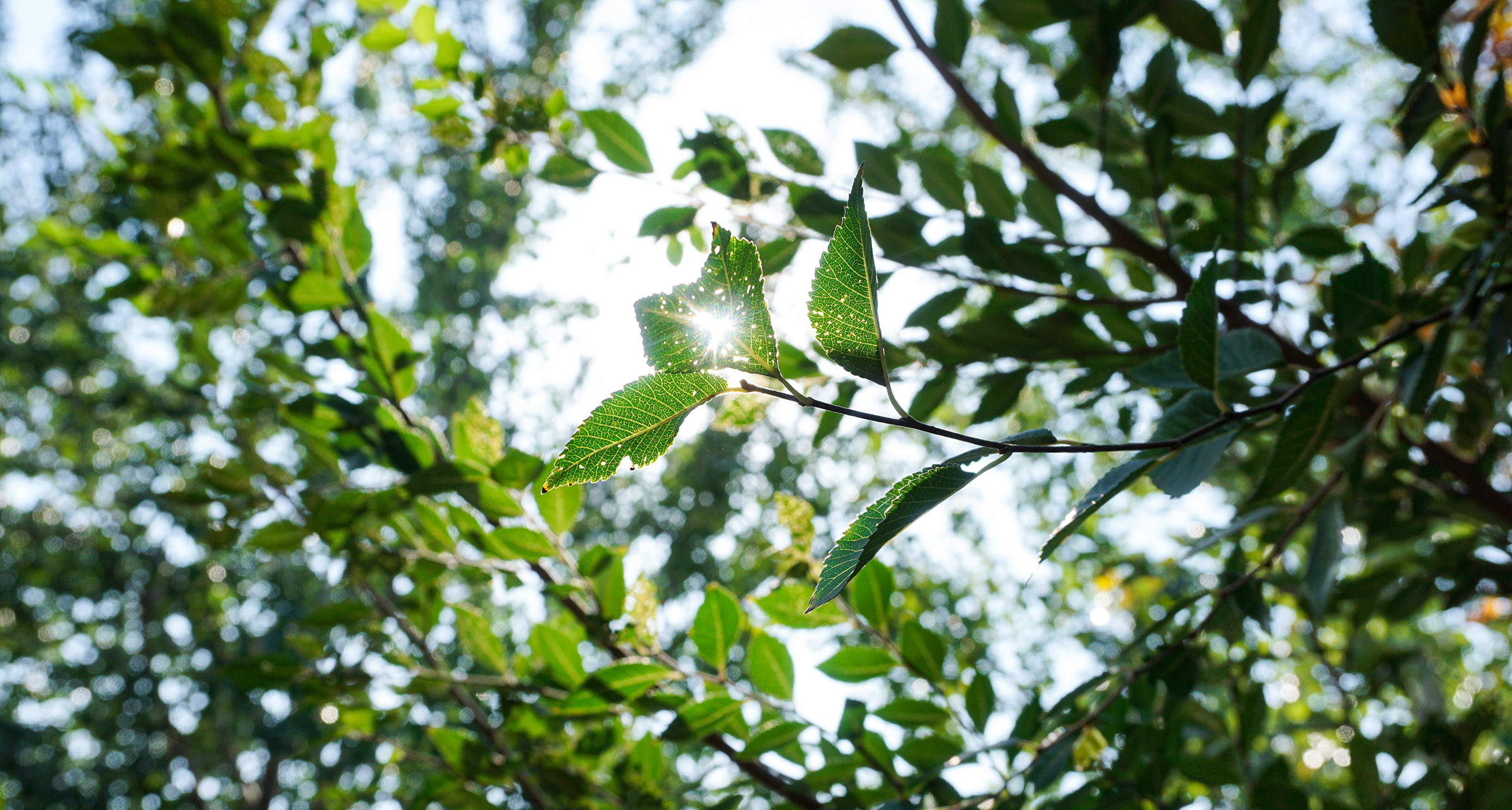 exciter的个人主页（封面预览） - 主页封面设置 - 站酷设计师exciter原创素材 - 站酷ZCOOL