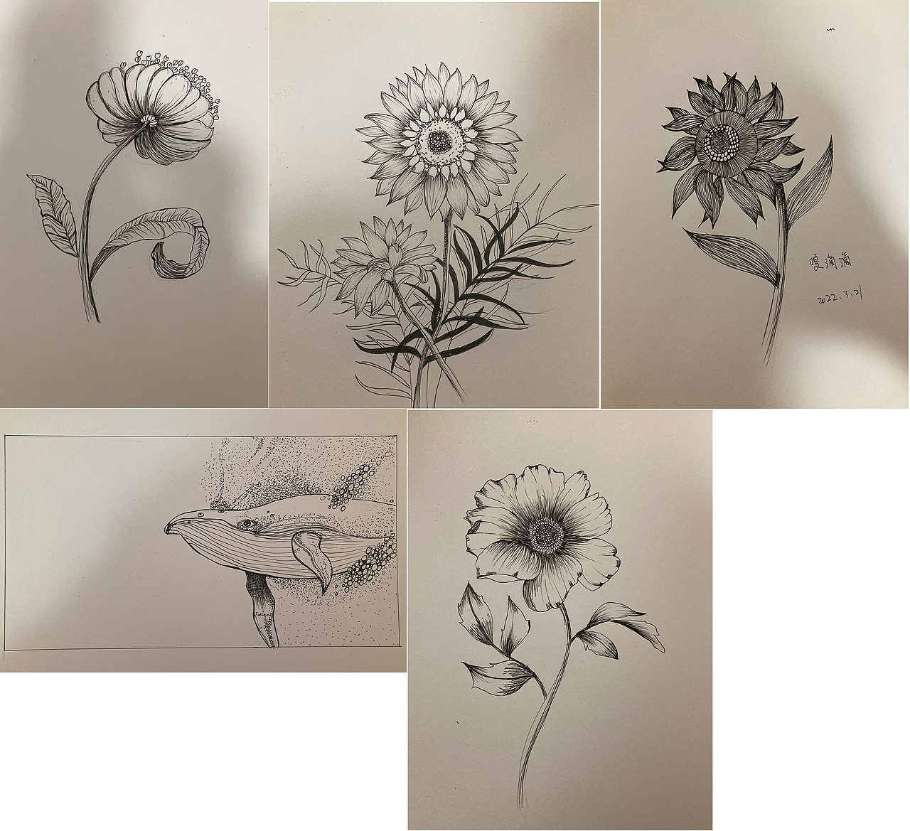 线条练习黑白画