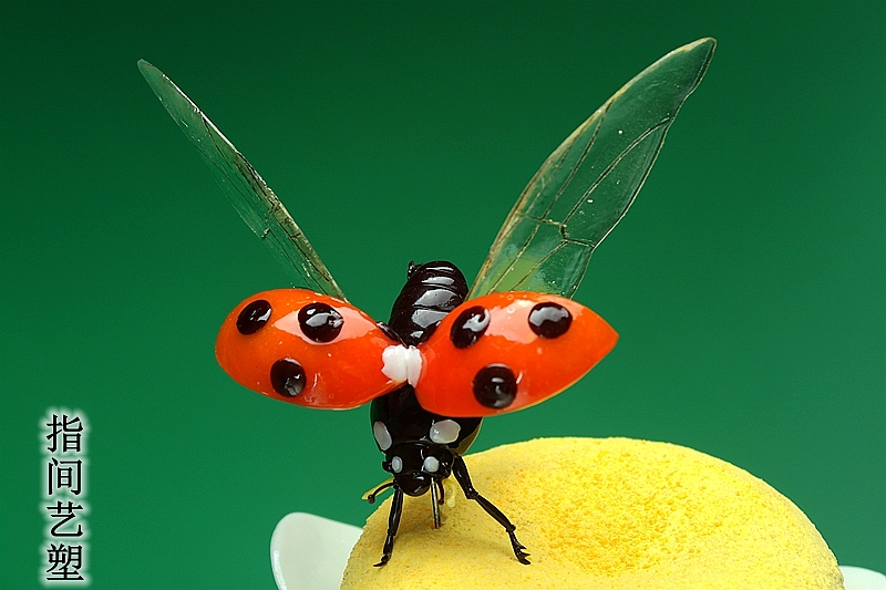 贺加贵 翻糖面塑