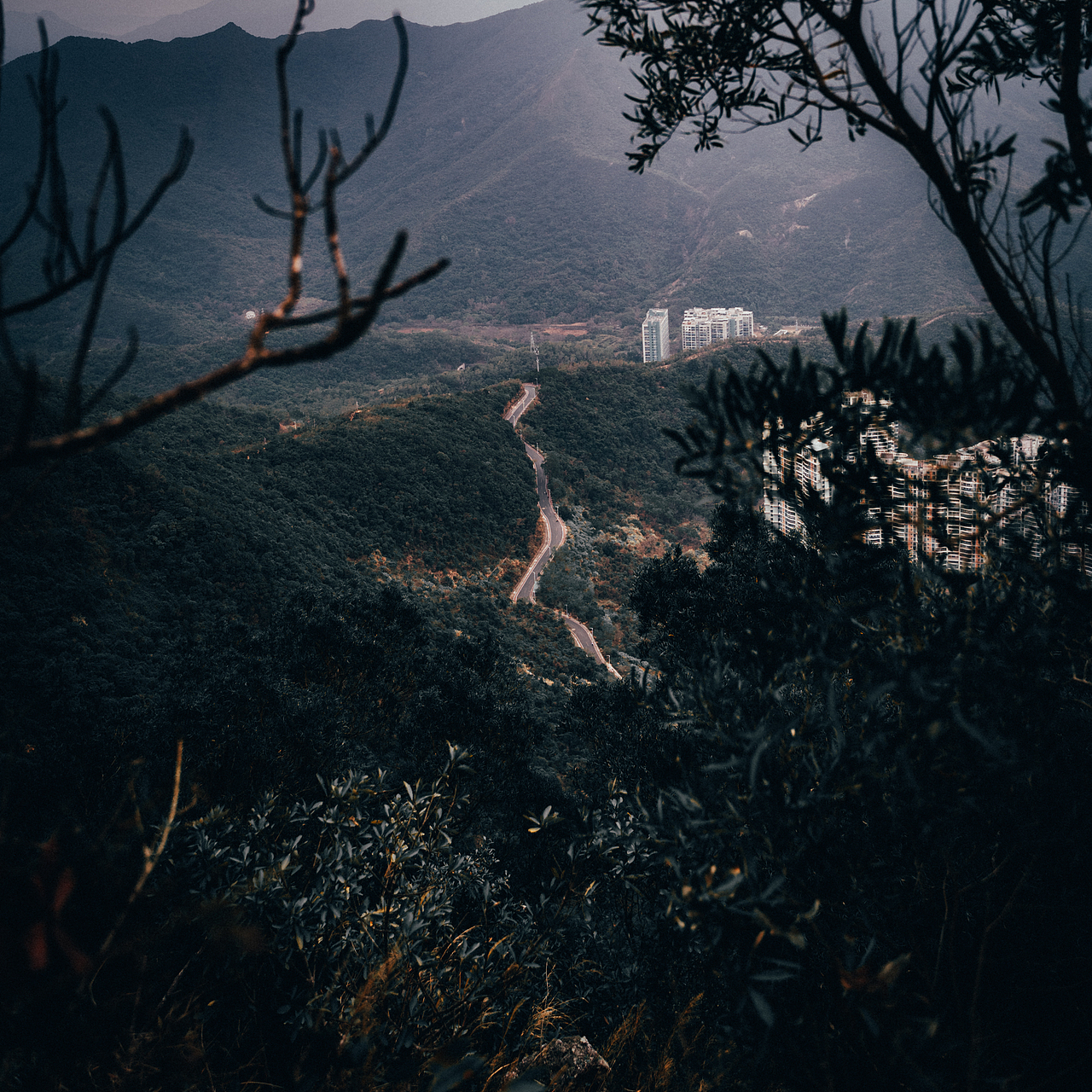 自己的路,自己欣赏。