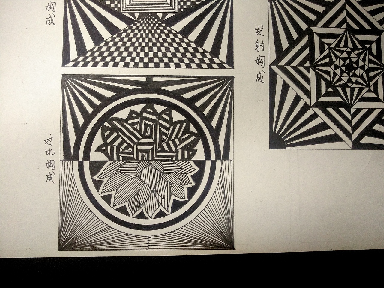 2016年作业-三大构成