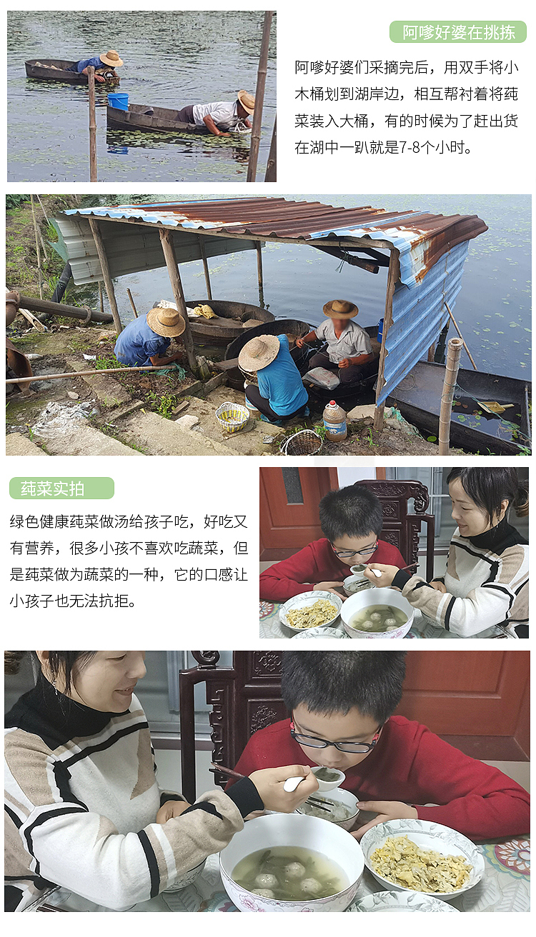 莼菜淘宝天猫详情页设计