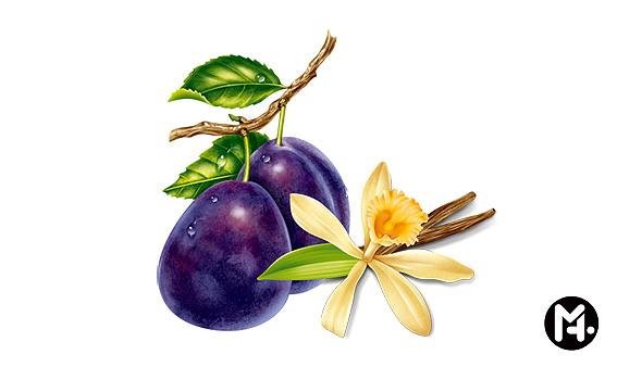 水果系列|电脑喷绘