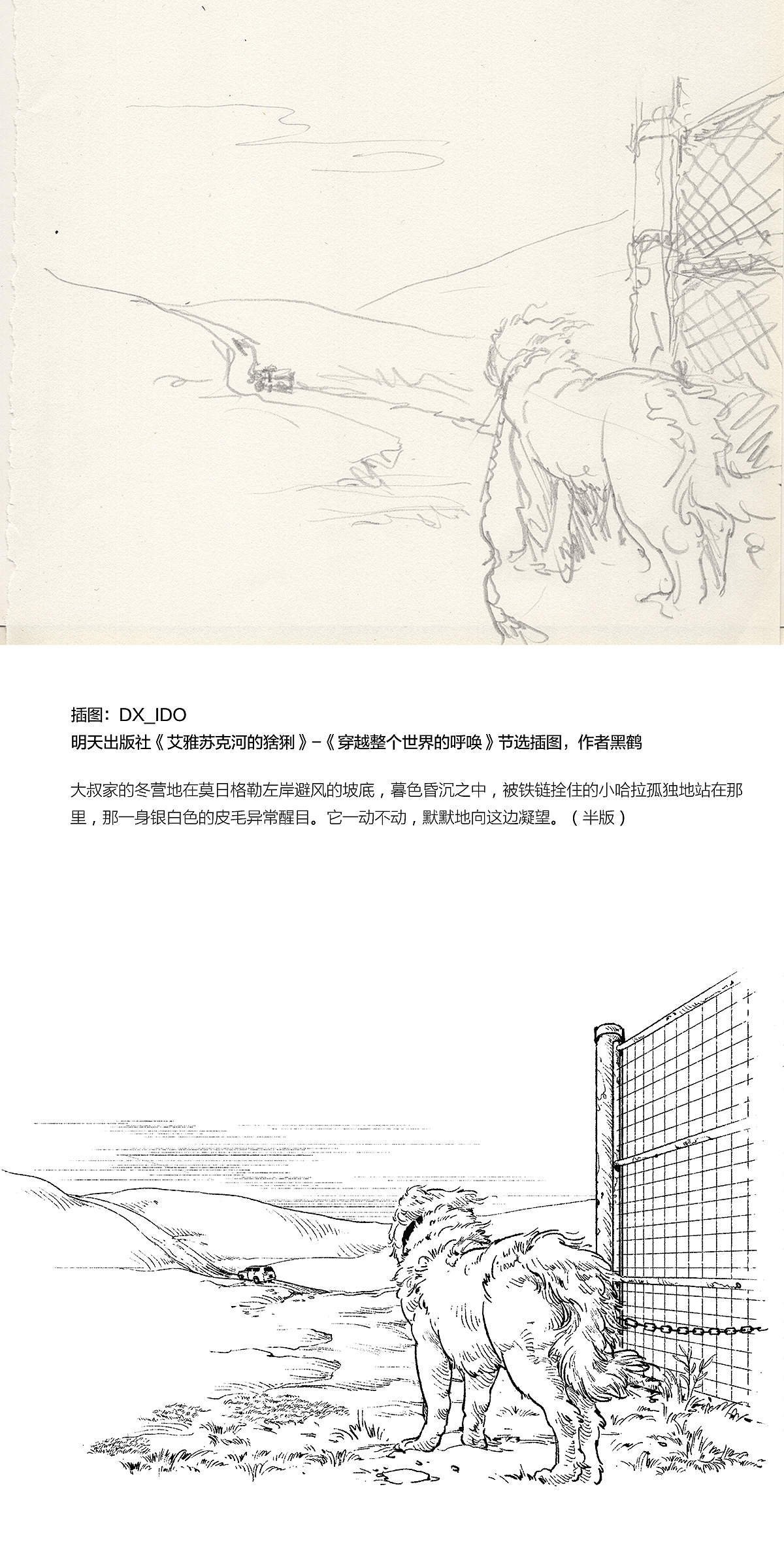 2189 一些插图整理（图ZMTI5NTg5MjEy） - 绘画 - 站酷设计师DX_IDO原创素材 - 站酷ZCOOL