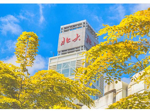 節(jié)日海報(bào)（個(gè)人主頁(yè)-ZNTEzOTg3NTI=） - 海報(bào) - 站酷設(shè)計(jì)師嫻同學(xué)原創(chuàng)素材 - 站酷ZCOOL