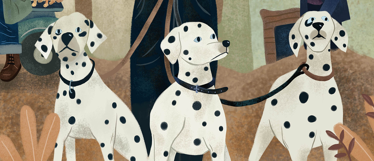 黑白魔女库伊拉（图ZMjYyMTUyNDgw） - 艺术插画 - 站酷设计师闲猫闲猫原创素材 - 站酷ZCOOL