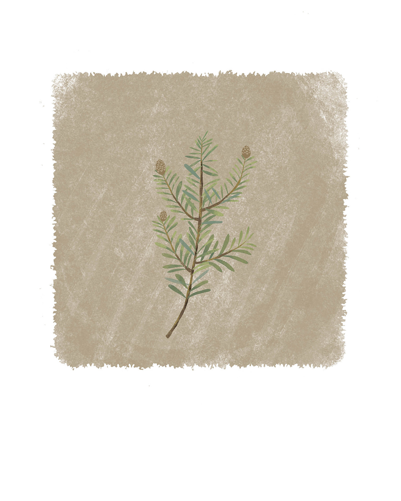 小花花～～～（图ZMTAzMjMzMjEy） - 创作习作 - 站酷设计师Tsuyu鱼猫原创素材 - 站酷ZCOOL