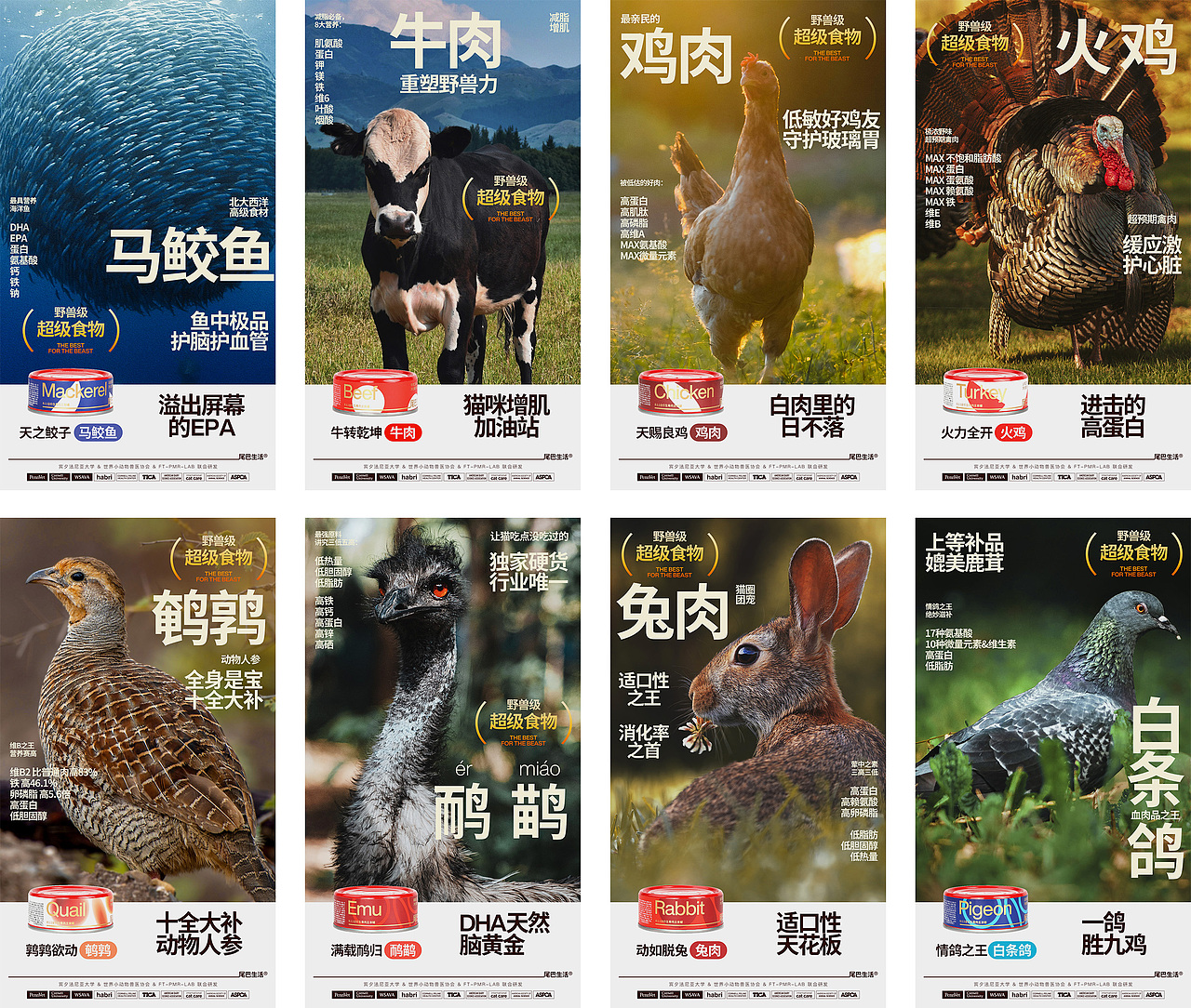 尾巴生活®生骨肉野兽Can ｜ 宠物 猫 罐头 包装 品牌（图ZMjc4MzI5NTMy） - 包装 - 站酷设计师DXD_studio原创素材 - 站酷ZCOOL