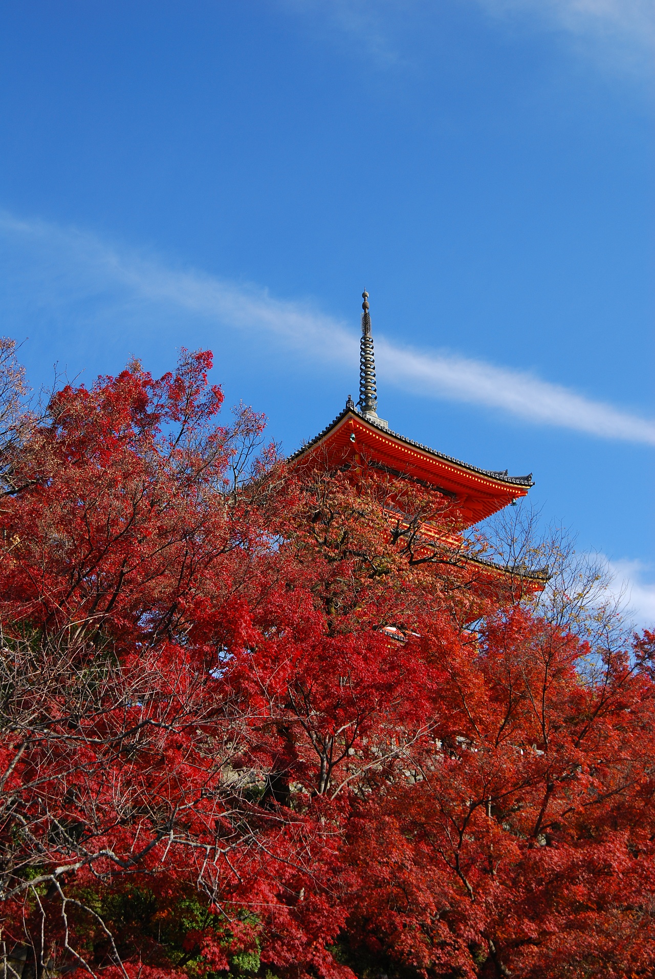 京都清水寺 红叶 山 寺庙