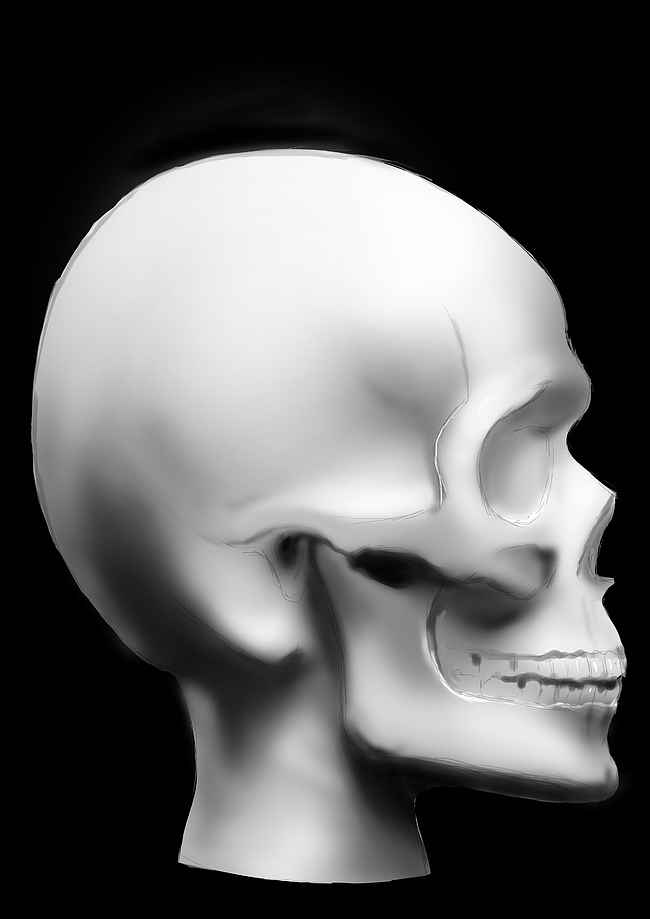 头骨练习|插画|游戏原画|_人余_原创作品-站酷zcool