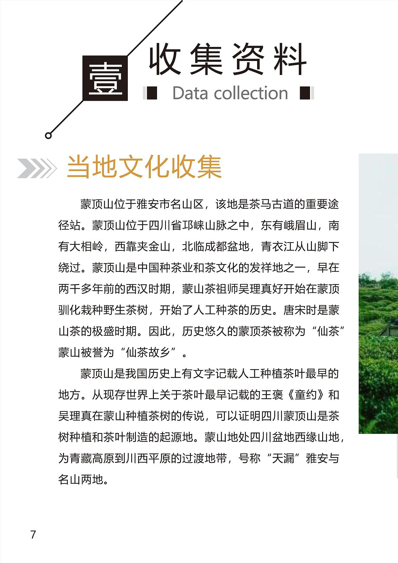 VI全套设计和图册（图ZMTU5Mzk5MjIw） - 品牌 - 站酷设计师我也想当托原创素材 - 站酷ZCOOL