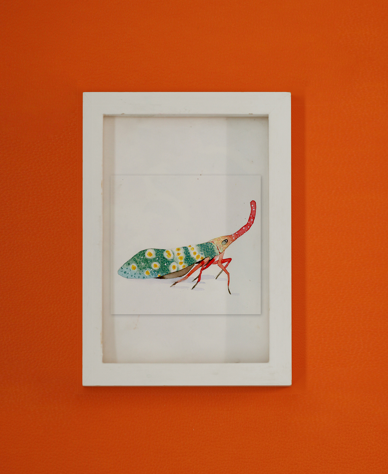 水彩龙眼鸡过程