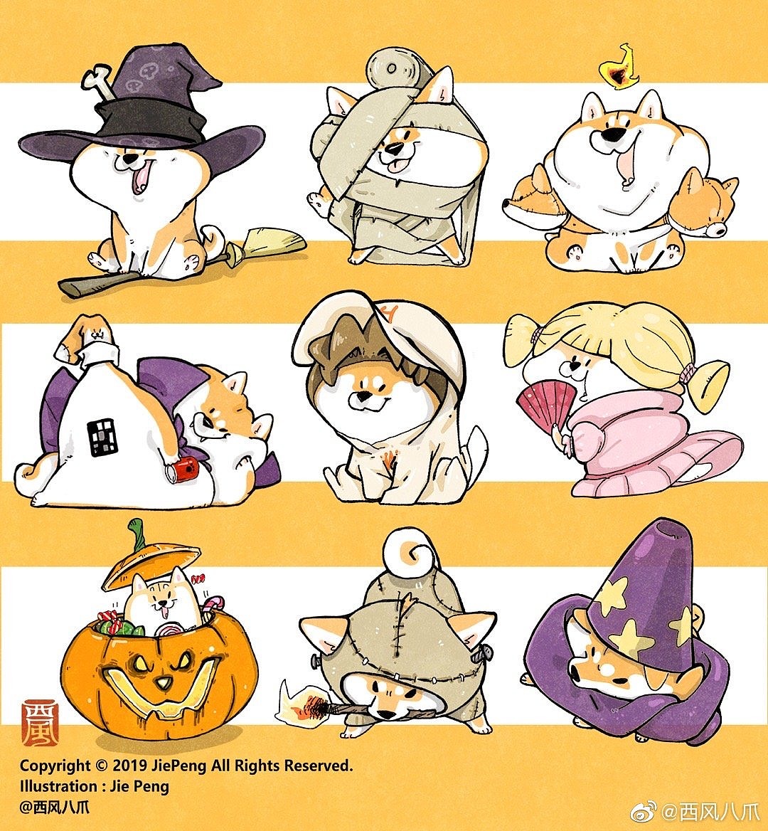 《阿柴枸杞》百犬小合集