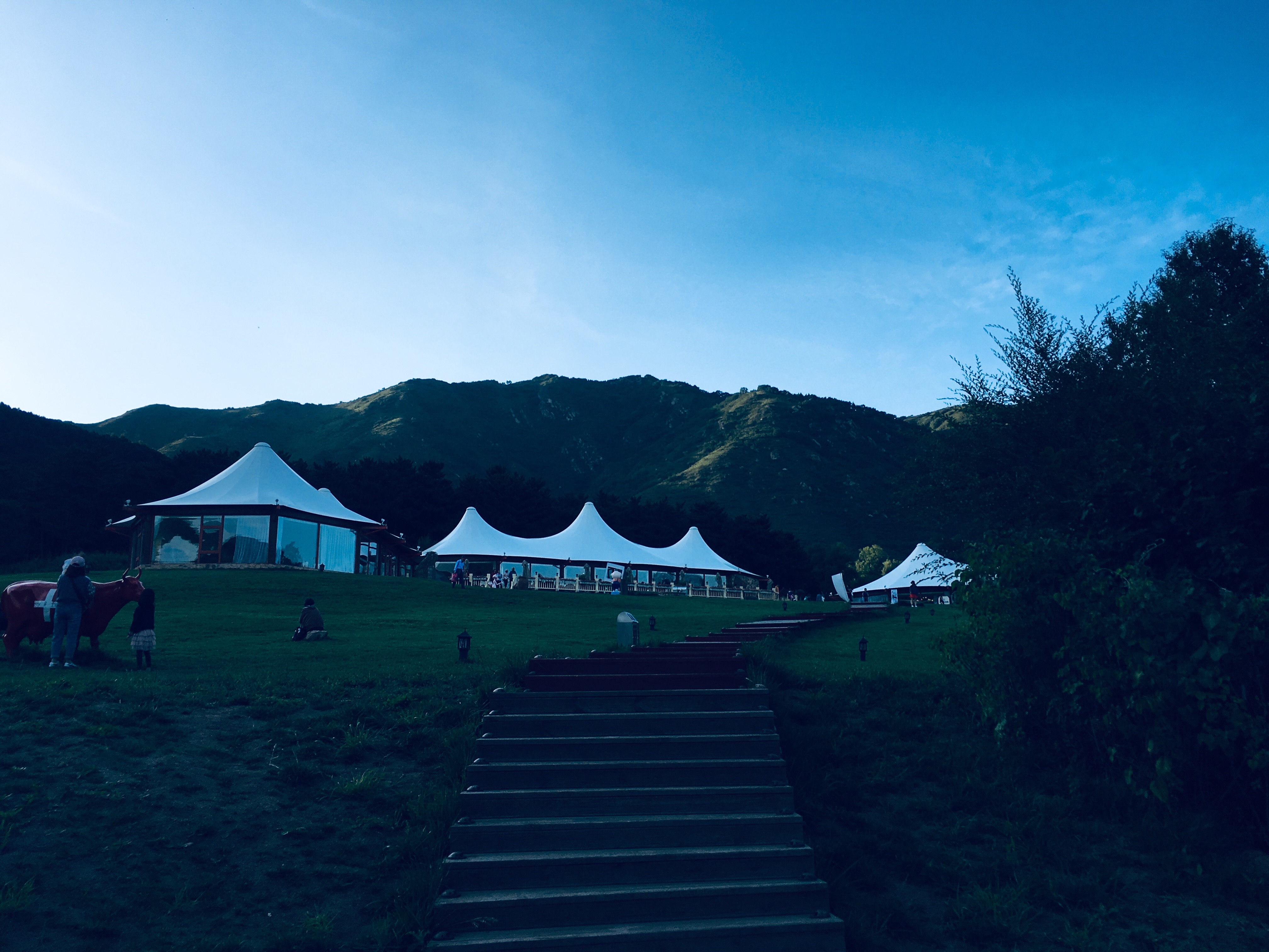 櫻桃大力丸的個人主頁（封面預(yù)覽） - 主頁封面設(shè)置 - 站酷設(shè)計師櫻桃大力丸原創(chuàng)素材 - 站酷ZCOOL