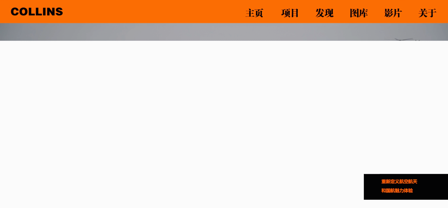 COLLINS网站