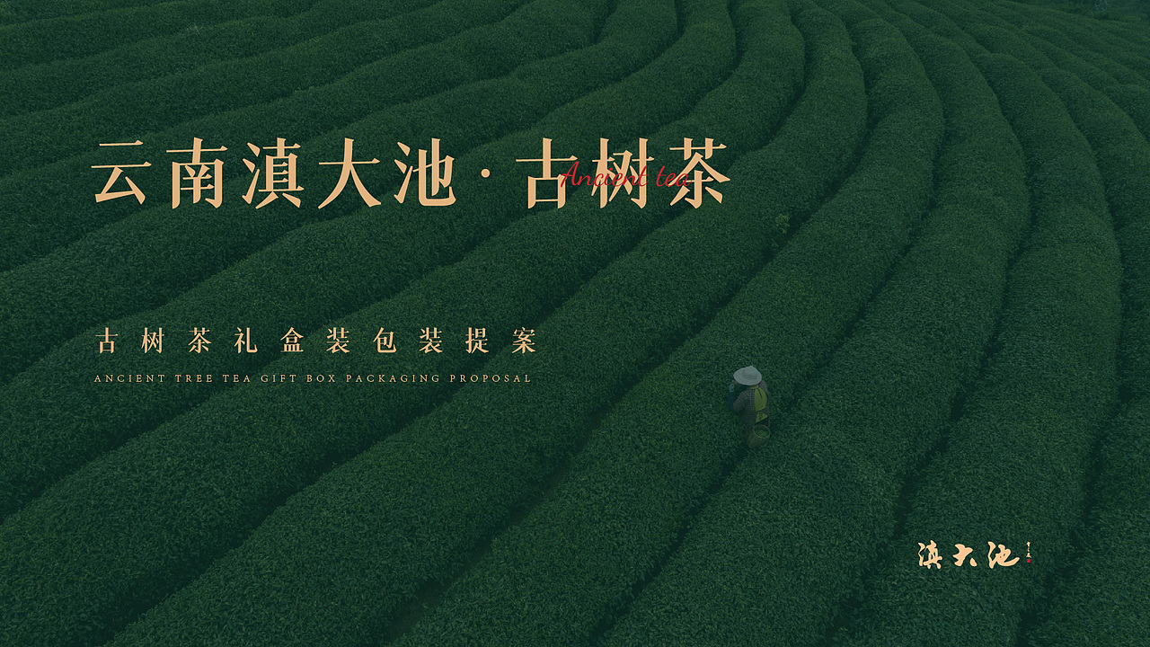 云南滇大池 | 古树茶包装（图ZMjU1NTg3OTIw） - 包装 - 站酷设计师清汤挂面灬原创素材 - 站酷ZCOOL