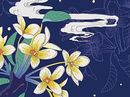 桂花酒包装插画