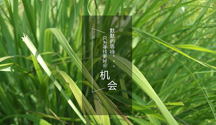 随心之旅（图ZNTU4Njk3Mjg=） - 品牌 - 站酷设计师寒木_原创素材 - 站酷ZCOOL