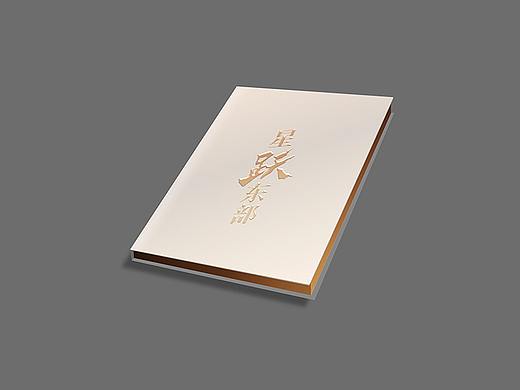 星河地产品牌宣传画册