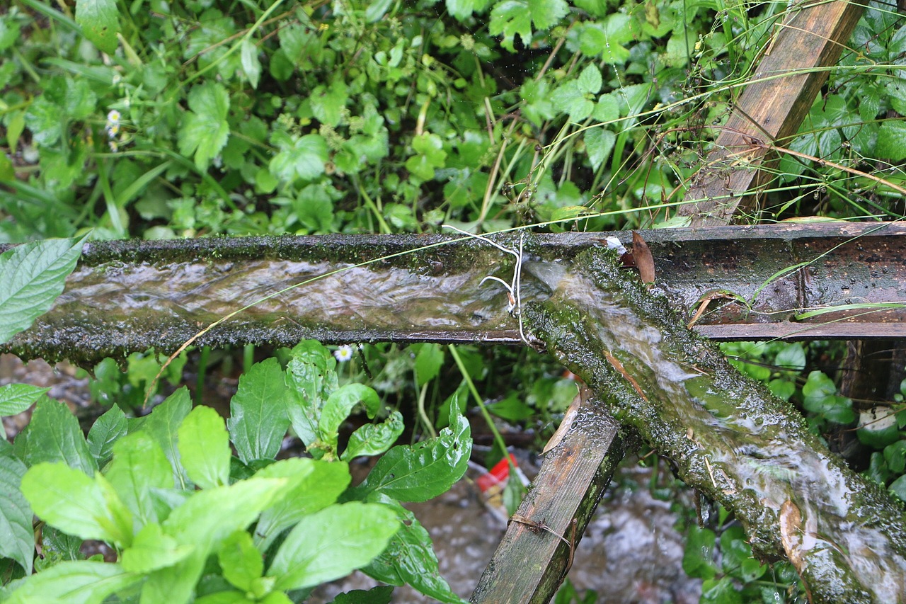 美好惬意的安徽之旅