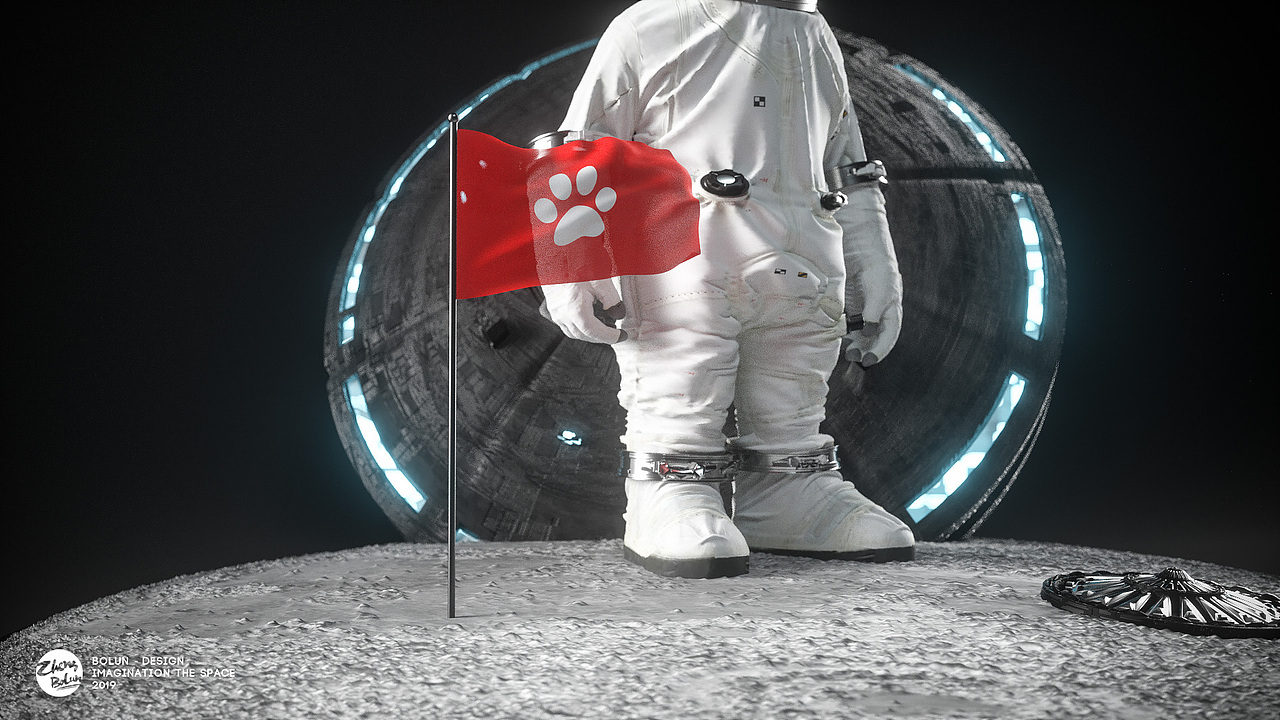 【从流浪猫到宇航员 | Félicette】