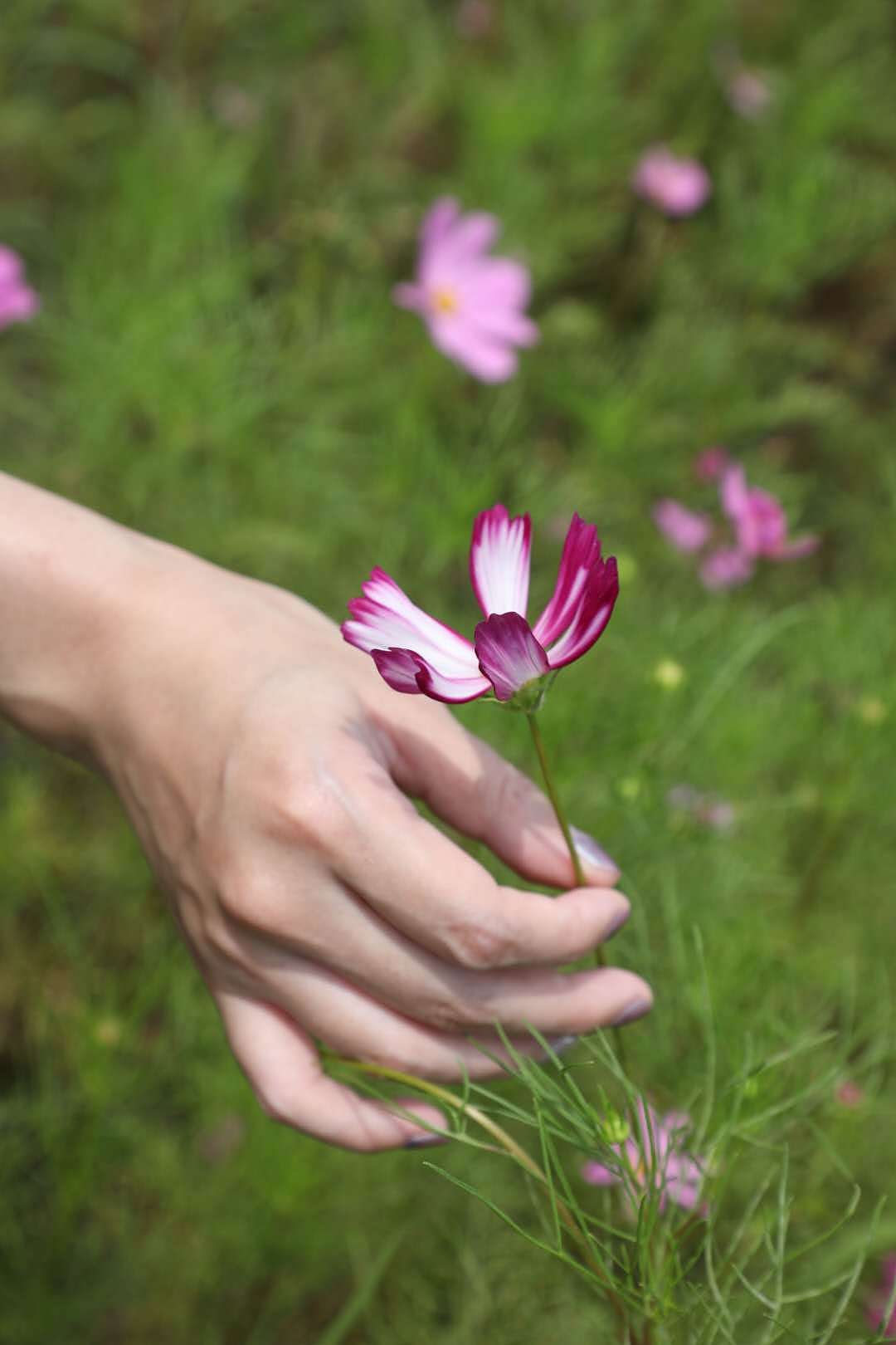 想把你埋进怀里，发芽开花。（图ZMjE5NjAzNzU2） - 人像摄影 - 站酷设计师是薛汐汐汐啊原创素材 - 站酷ZCOOL