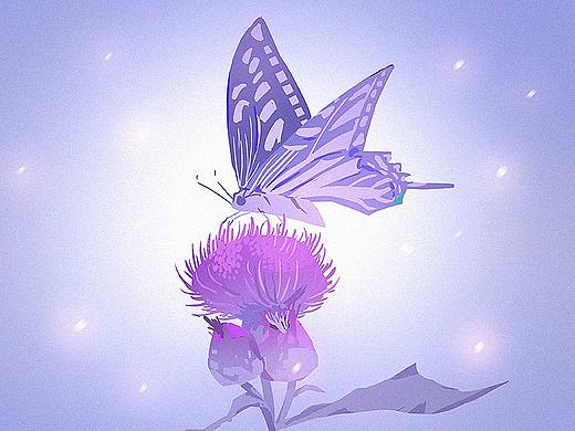 繁星计划近期速途练习