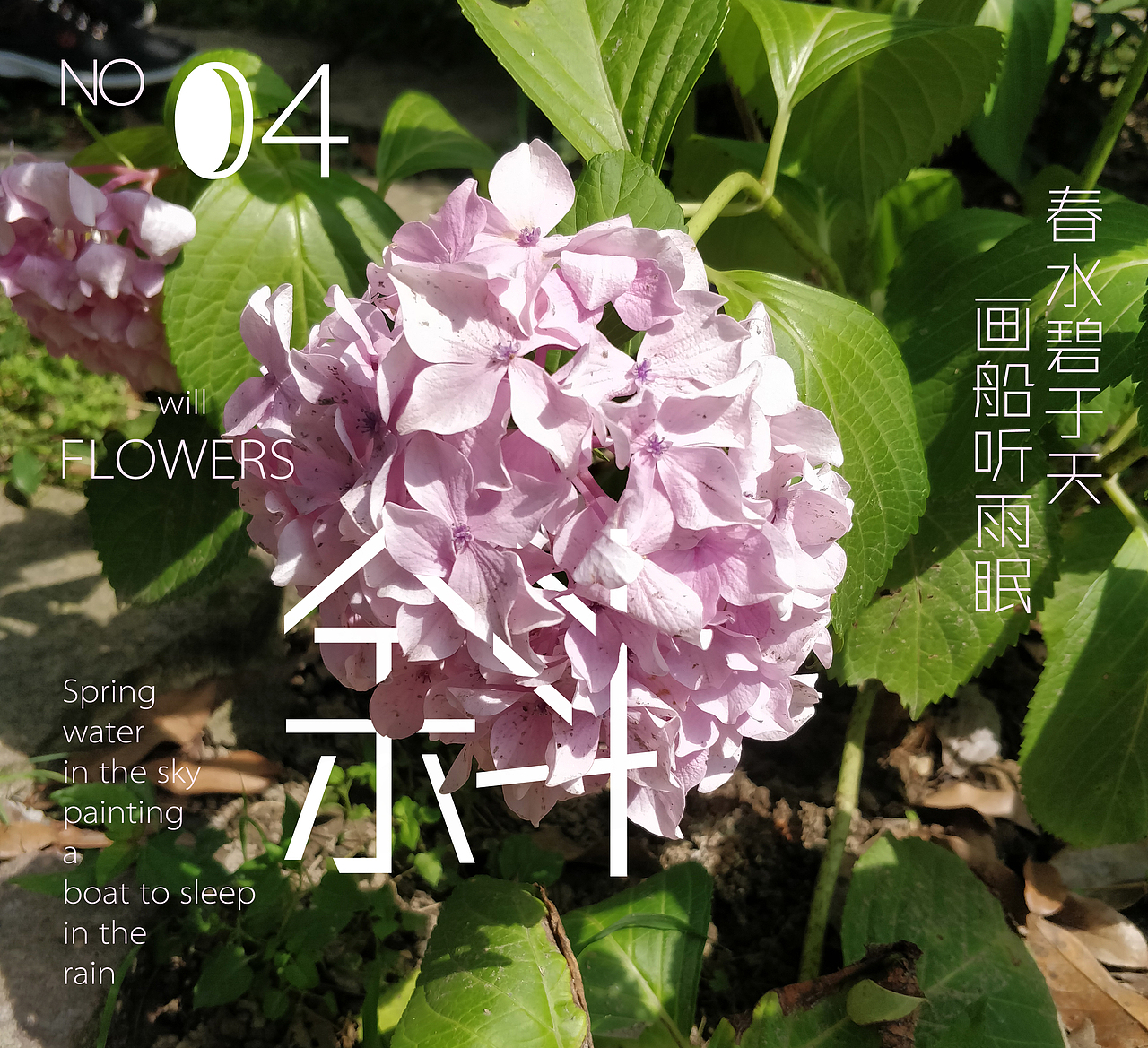 雨后却斜阳，杏花零落香（图ZMTE4MjQ5NDg4） - 产品摄影 - 站酷设计师胡虎虎胡红原创素材 - 站酷ZCOOL