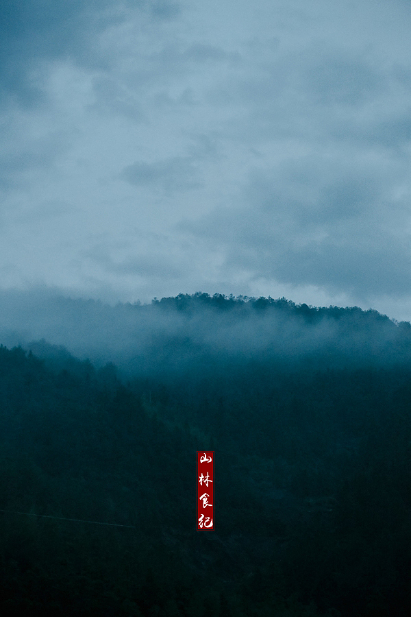 雨,及雨后,散落人间看不见的灵魂。