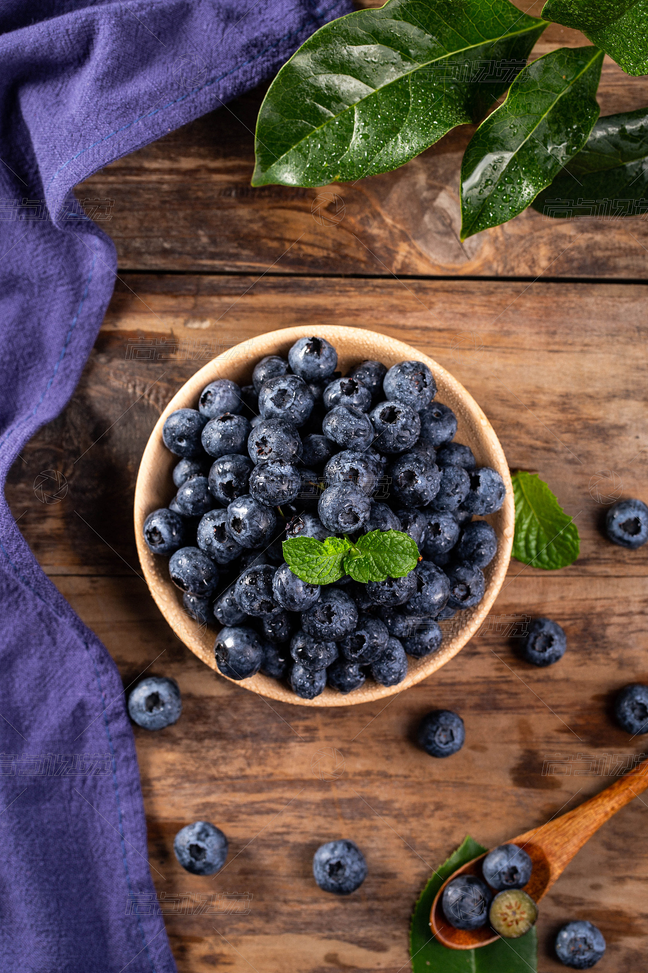 蓝莓| 美食摄影