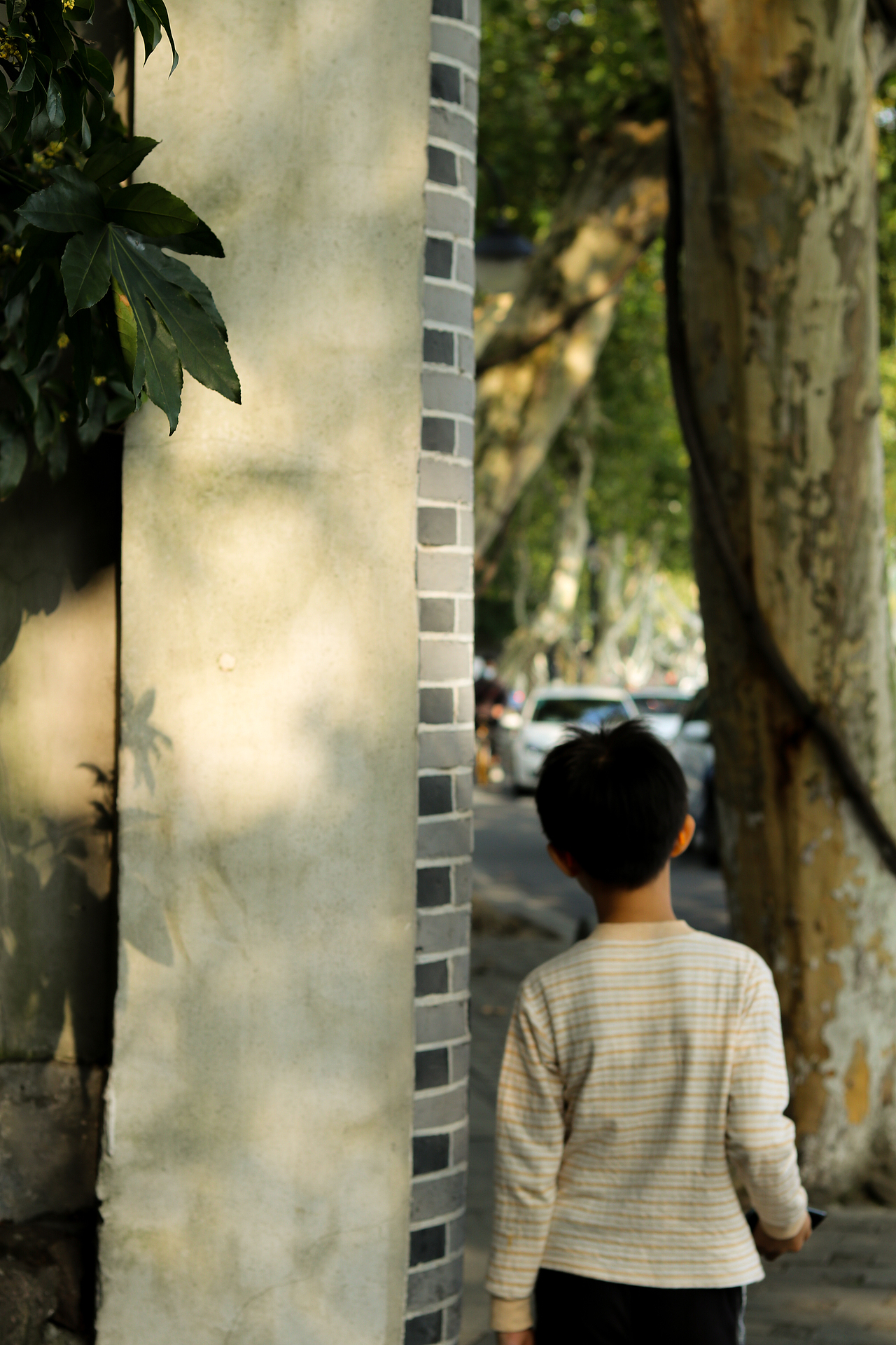 西湖的秋（圖ZMjc1MDgyNzA4） - 人文/紀(jì)實(shí)攝影 - 站酷設(shè)計(jì)師鐘喵原創(chuàng)素材 - 站酷ZCOOL