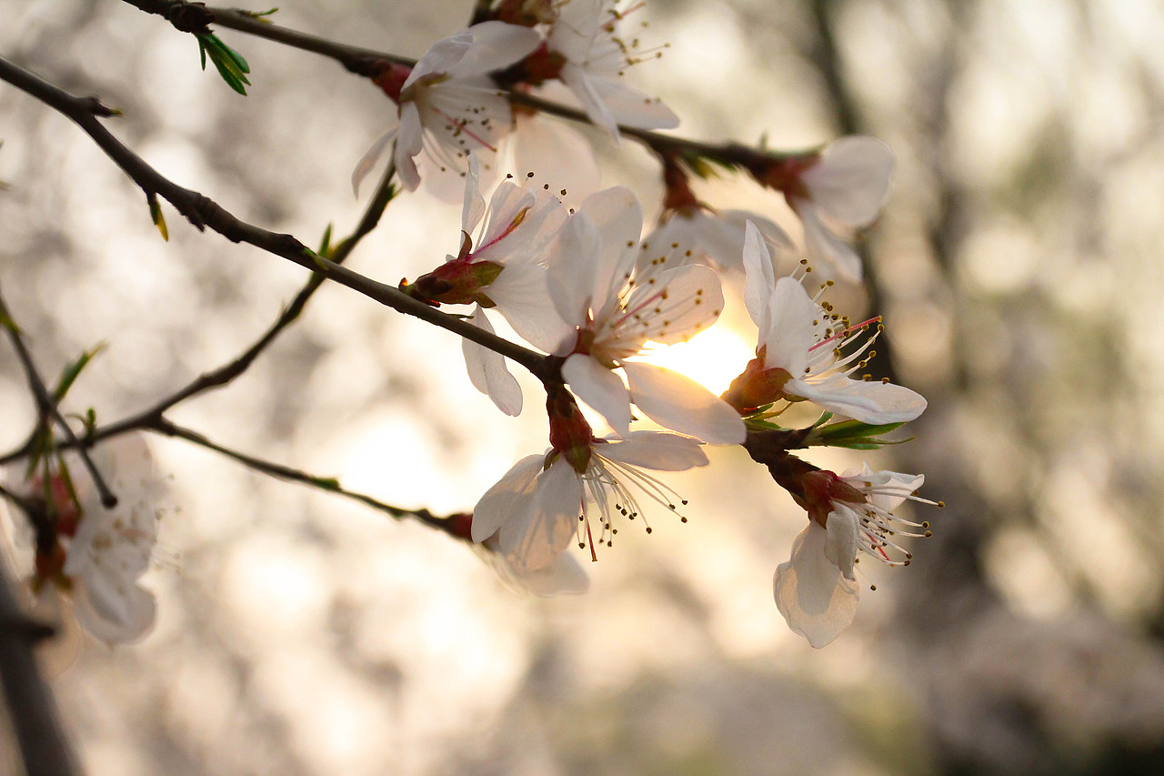 随拍（图ZMTUwNTU5NDg=） - 风光摄影 - 站酷设计师万能的小裴原创素材 - 站酷ZCOOL