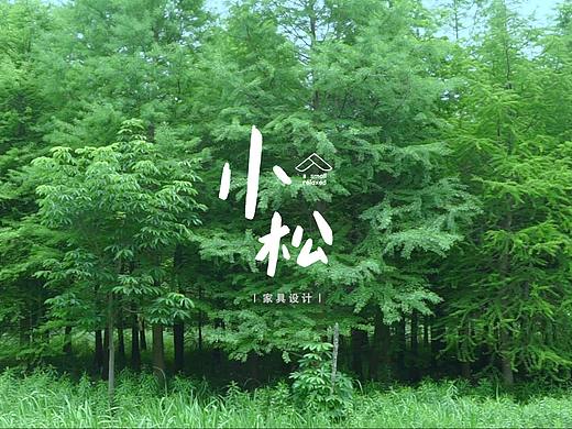 视频剪辑｜小松