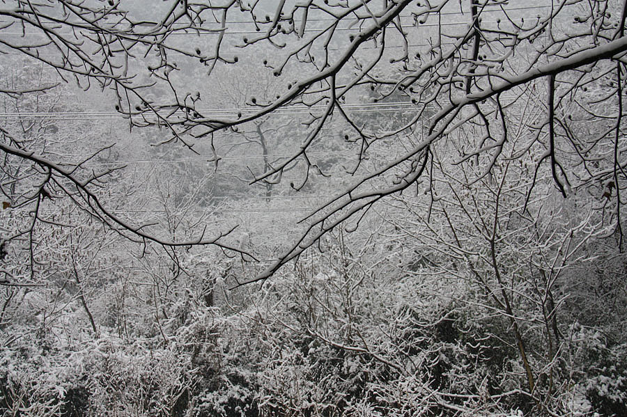 今天下雪了！于是拍玩具！！
