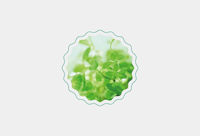 成林花语 LOGO设计