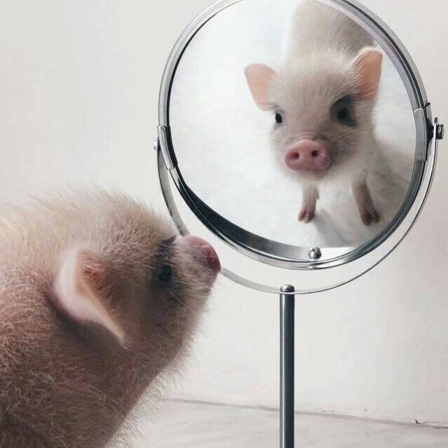 鶴川頁洲的個人主頁（背景預(yù)覽） - 主頁背景設(shè)置 - 站酷設(shè)計師鶴川頁洲原創(chuàng)素材 - 站酷ZCOOL