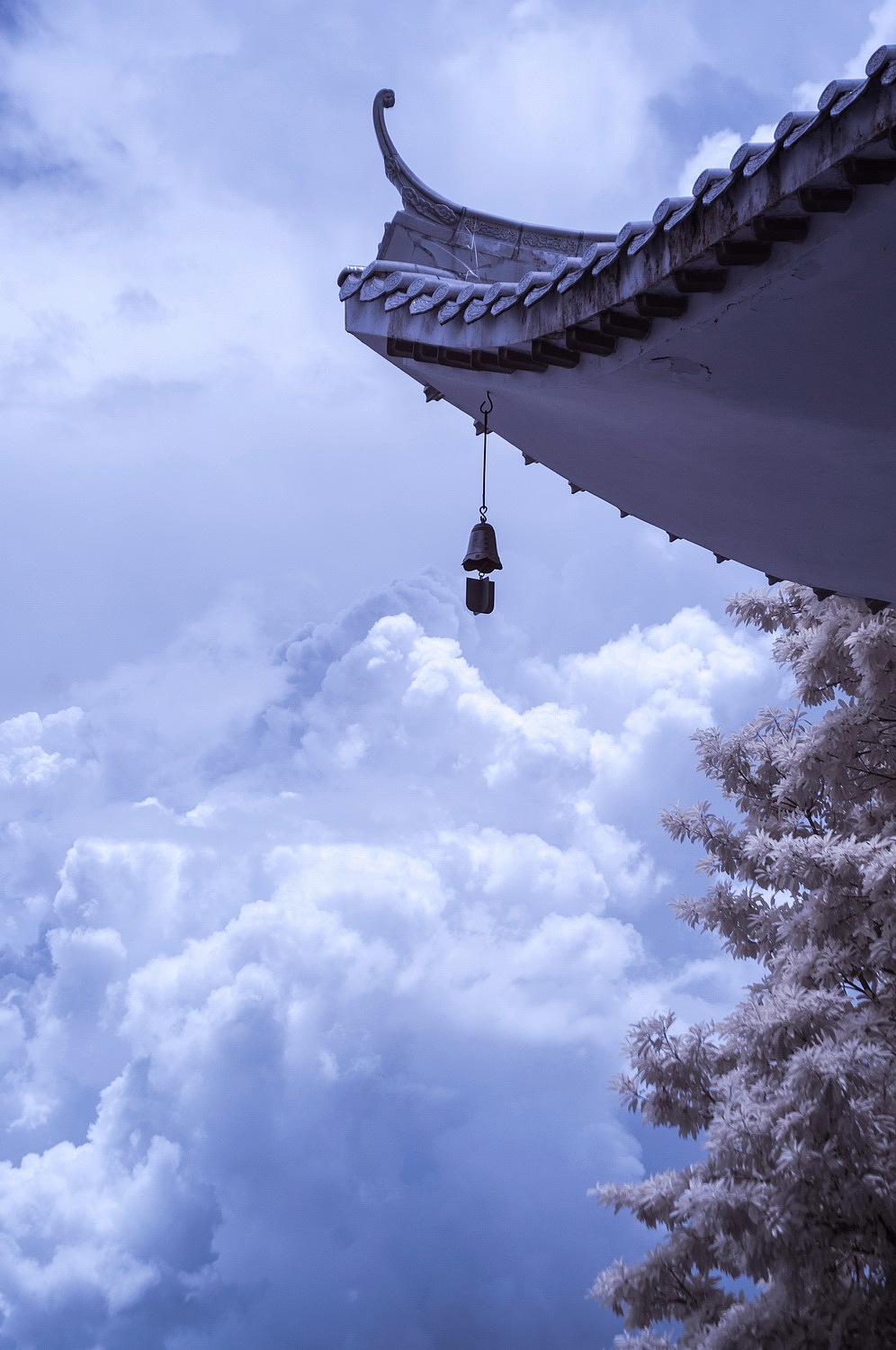 假如深圳下雪了