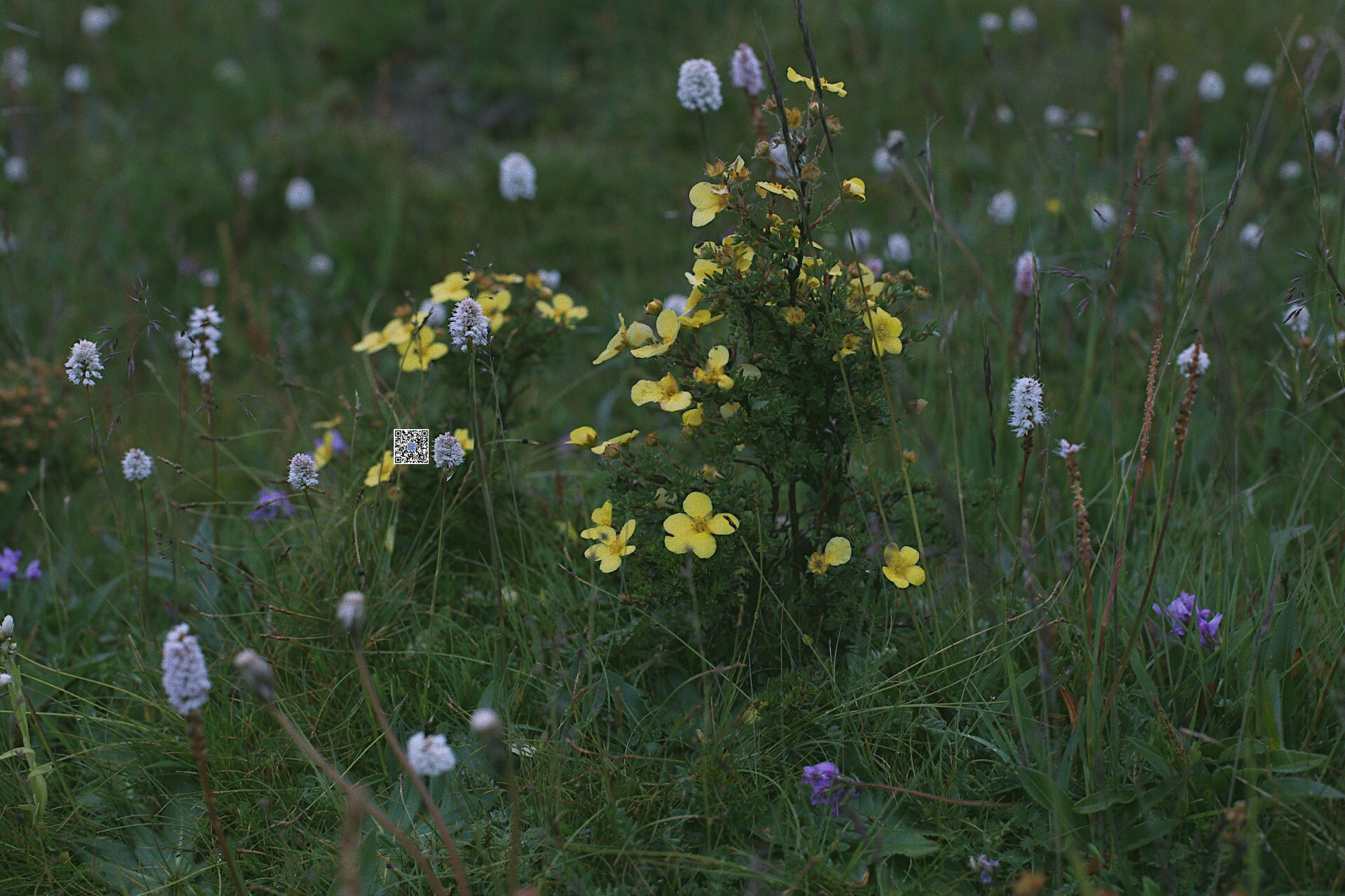 Sun卡卡的個人主頁（封面預覽） - 主頁封面設置 - 站酷設計師Sun卡卡原創(chuàng)素材 - 站酷ZCOOL