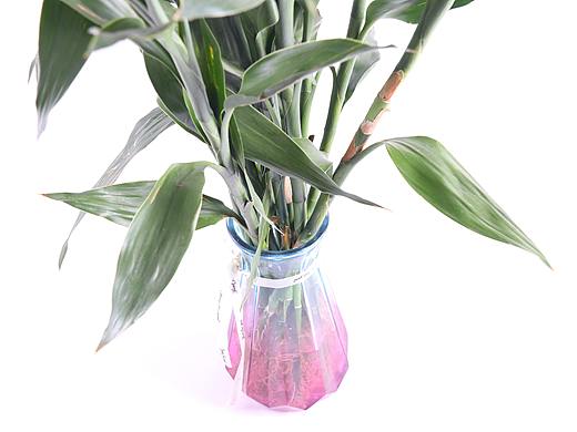 B10鲜花园艺\C05-花瓶花盆花架\V01玻璃花瓶X1